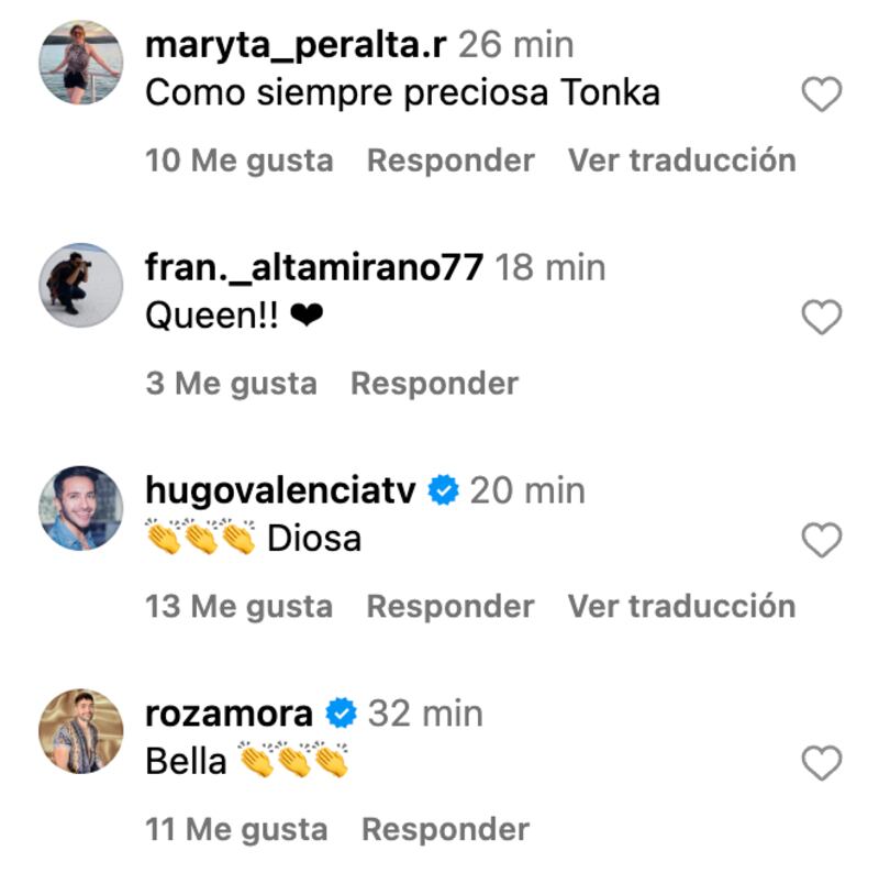 Comentarios sobre Tonka Tomicic | Captura: Instagram