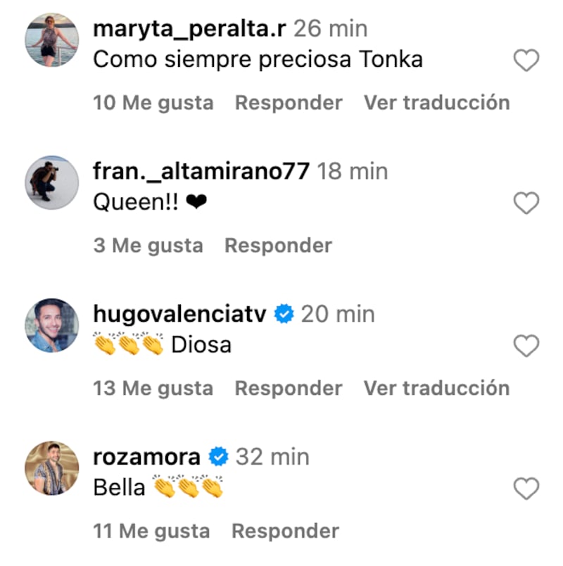 Comentarios sobre Tonka Tomicic | Captura: Instagram