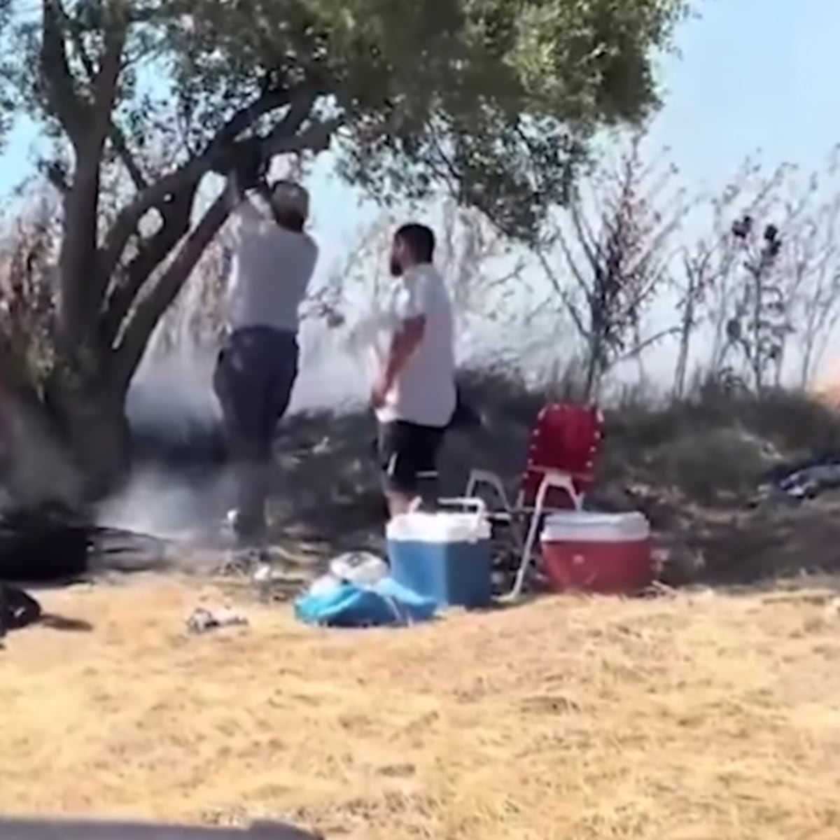 Incendio arrasa 15 hectáreas tras asado Incendio arrasa 15 hectáreas tras asado
