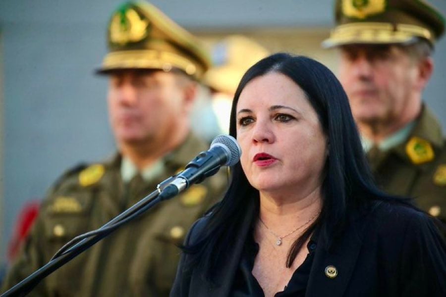 Ministra Steinert destaca operativo en Temucuicui tras captura de Jorge Huenchullán: “Recuperando el control del territorio”