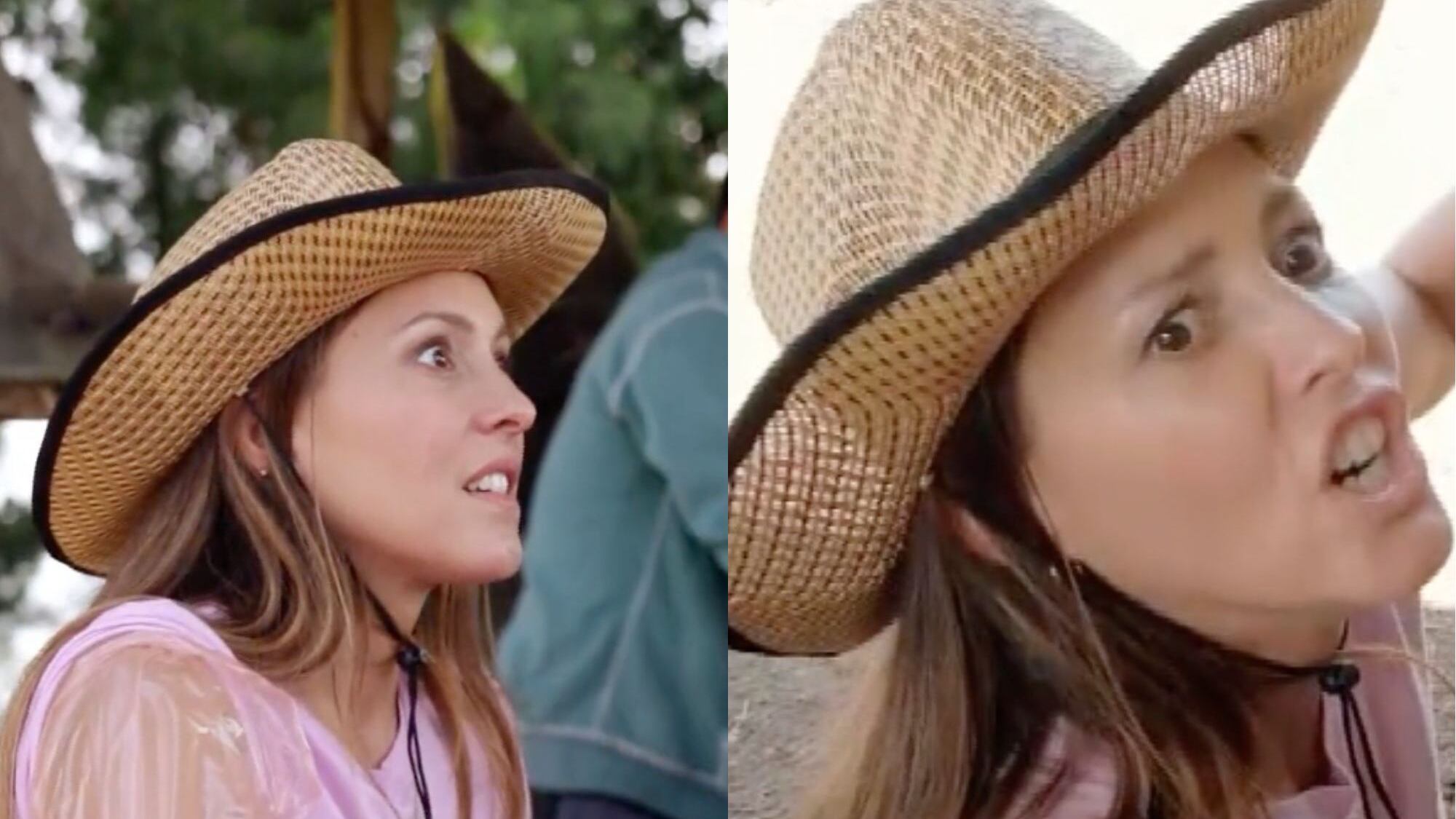 Maly Jorquiera | Mega