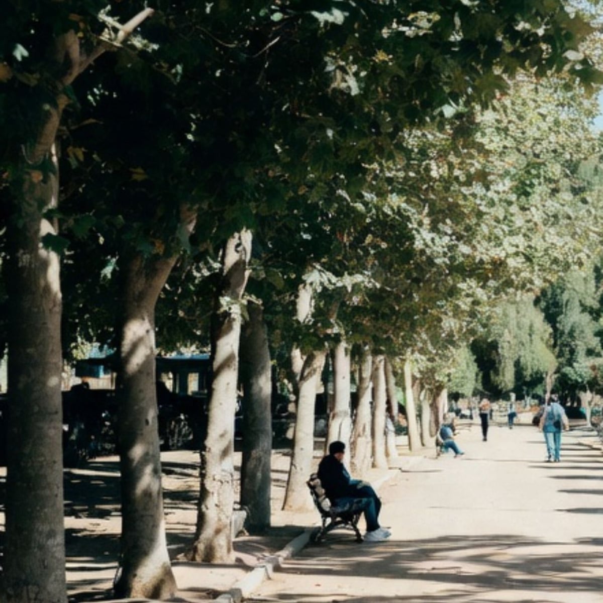 Alerta Amarilla en Región Metropolitana por calor intenso Alerta Amarilla en Región Metropolitana por calor intenso