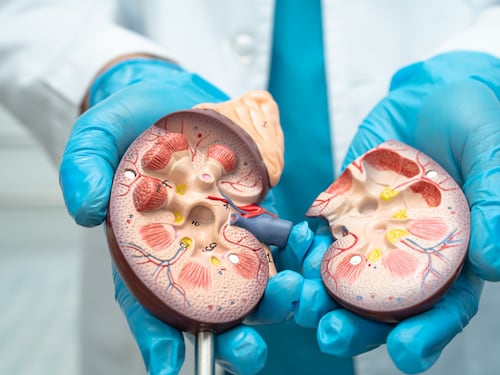 Guardianes silenciosos: Cómo transformar tu salud renal con pequeñas decisiones diarias