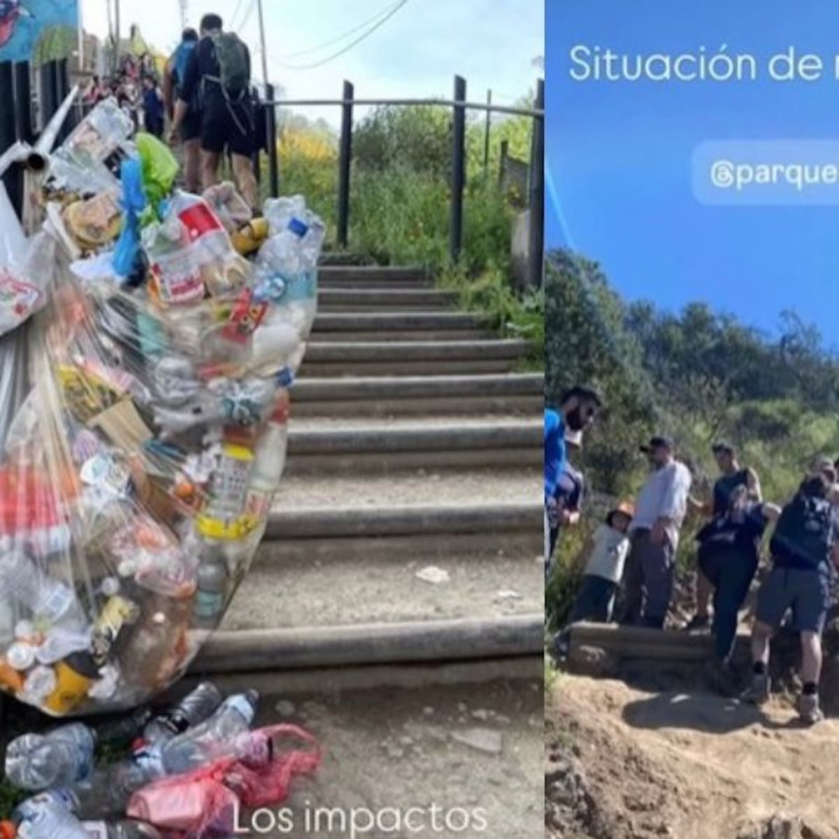 Indignación por daños al ecosistema en Cerro El Carbón Indignación por daños al ecosistema en Cerro El Carbón