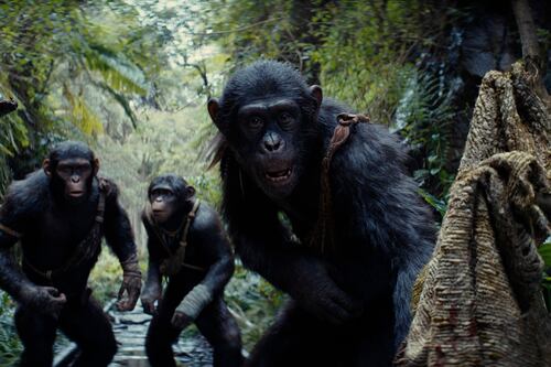 “Kingdom of the Planet of the Apes” domina la taquilla en los Estados Unidos