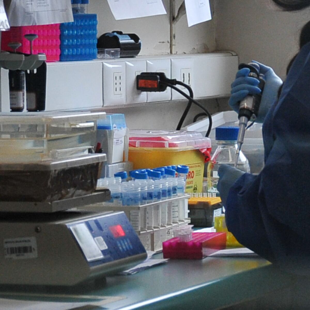 Confirman primer caso de Mpox en Chile Confirman primer caso de Mpox en Chile