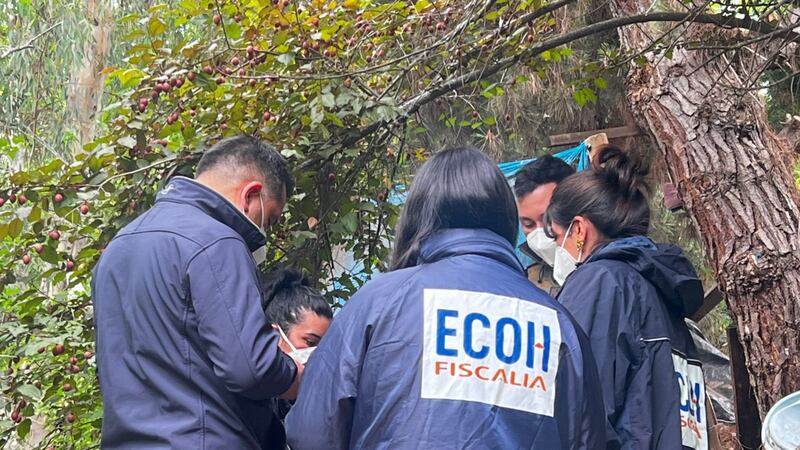San Vicente de Tagua Tagua: detienen a nueve personas tras macabro hallazgo de cuerpos en una fosa