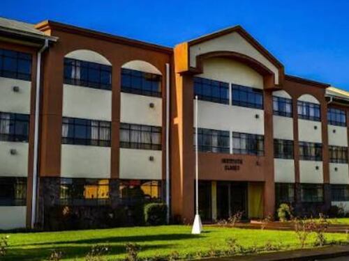 Violenta agresión en colegio de Temuco: denuncian que alumna fue atacada por decenas de estudiantes por usar máscara de gato