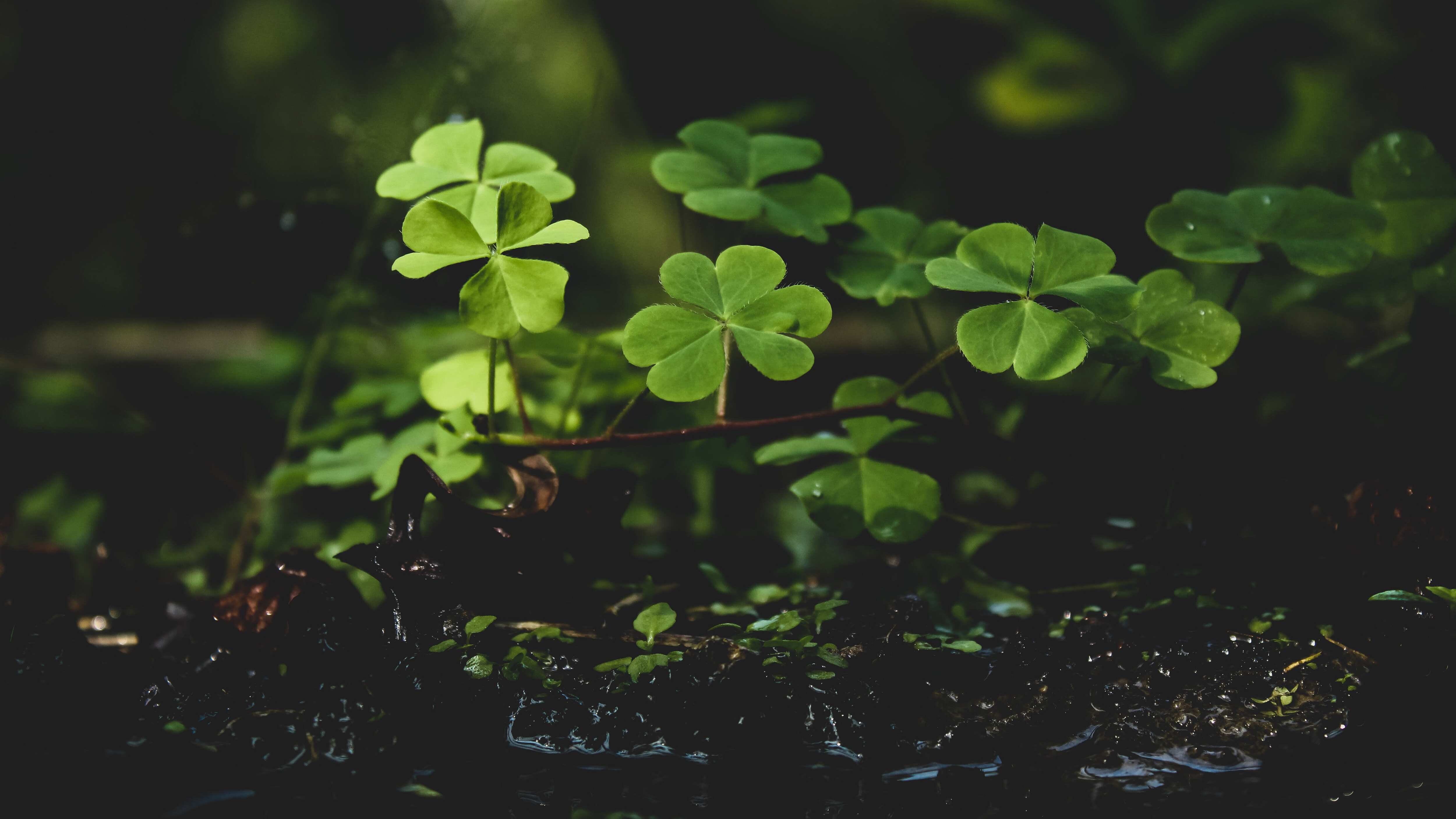 Imagen referencial de la mala suerte