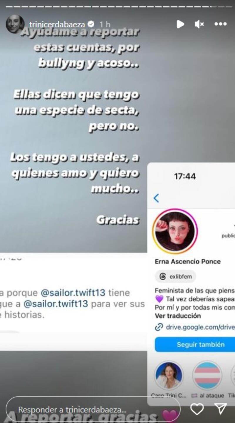 Historias de Instagram de Trinidad Cerda