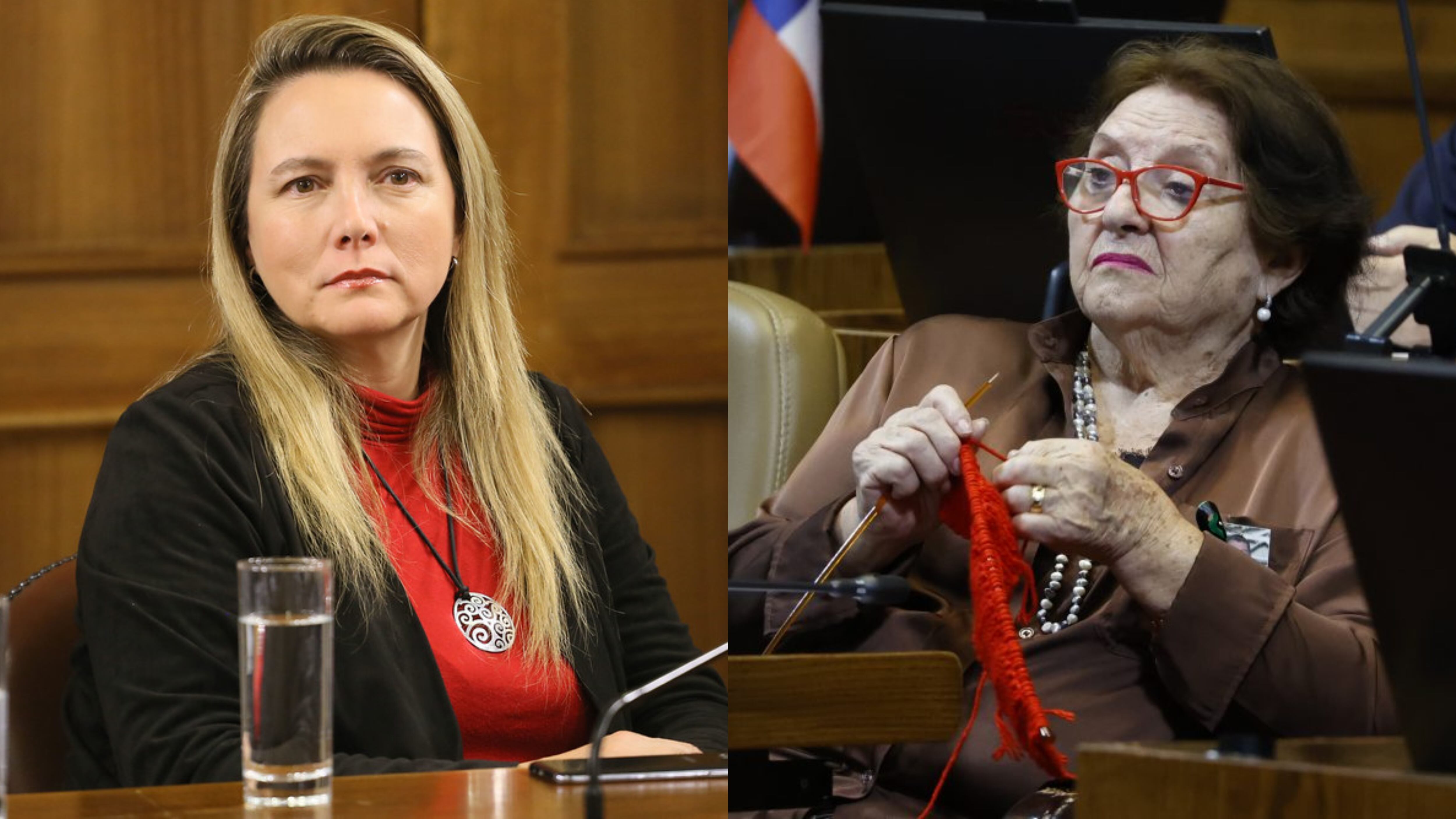 Diputadas Catalina del Real y María Luisa Cordero