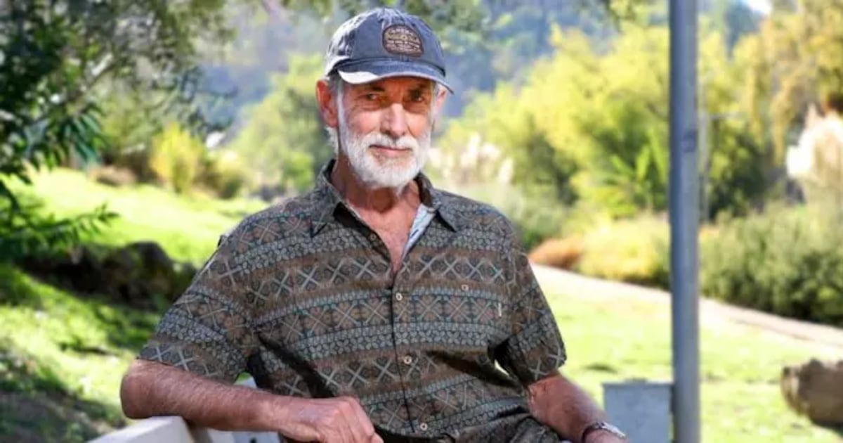 Televisión chilena rinde homenaje a Héctor Noguera con programación especial en TVN y Canal 13