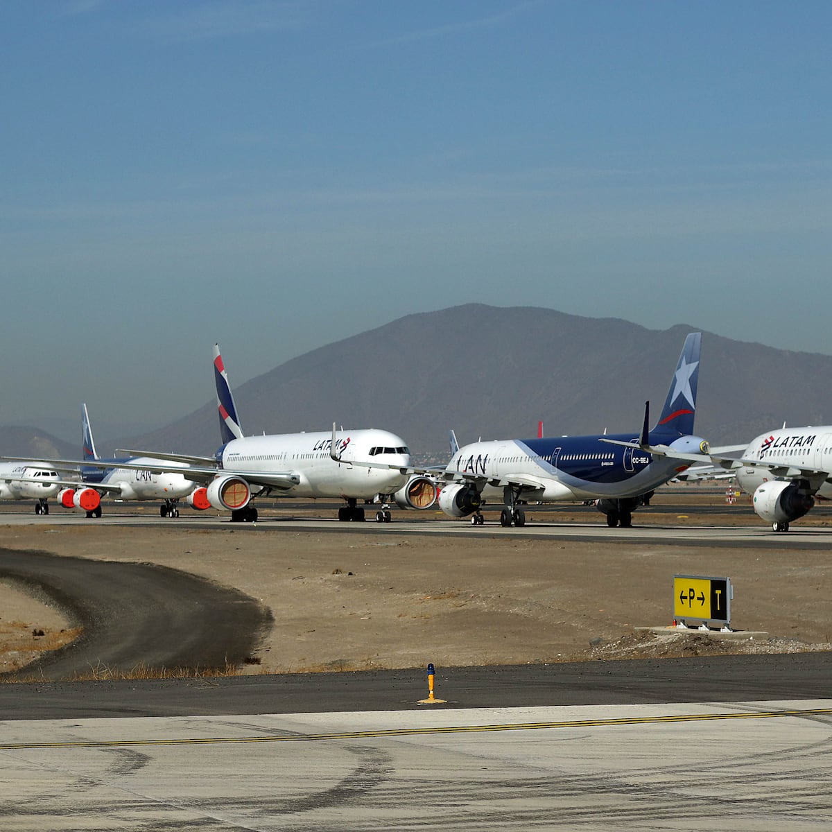 Vertederos ilegales cerca de Aeropuerto Santiago atraen aves en masa Vertederos ilegales cerca de Aeropuerto Santiago atraen aves en masa
