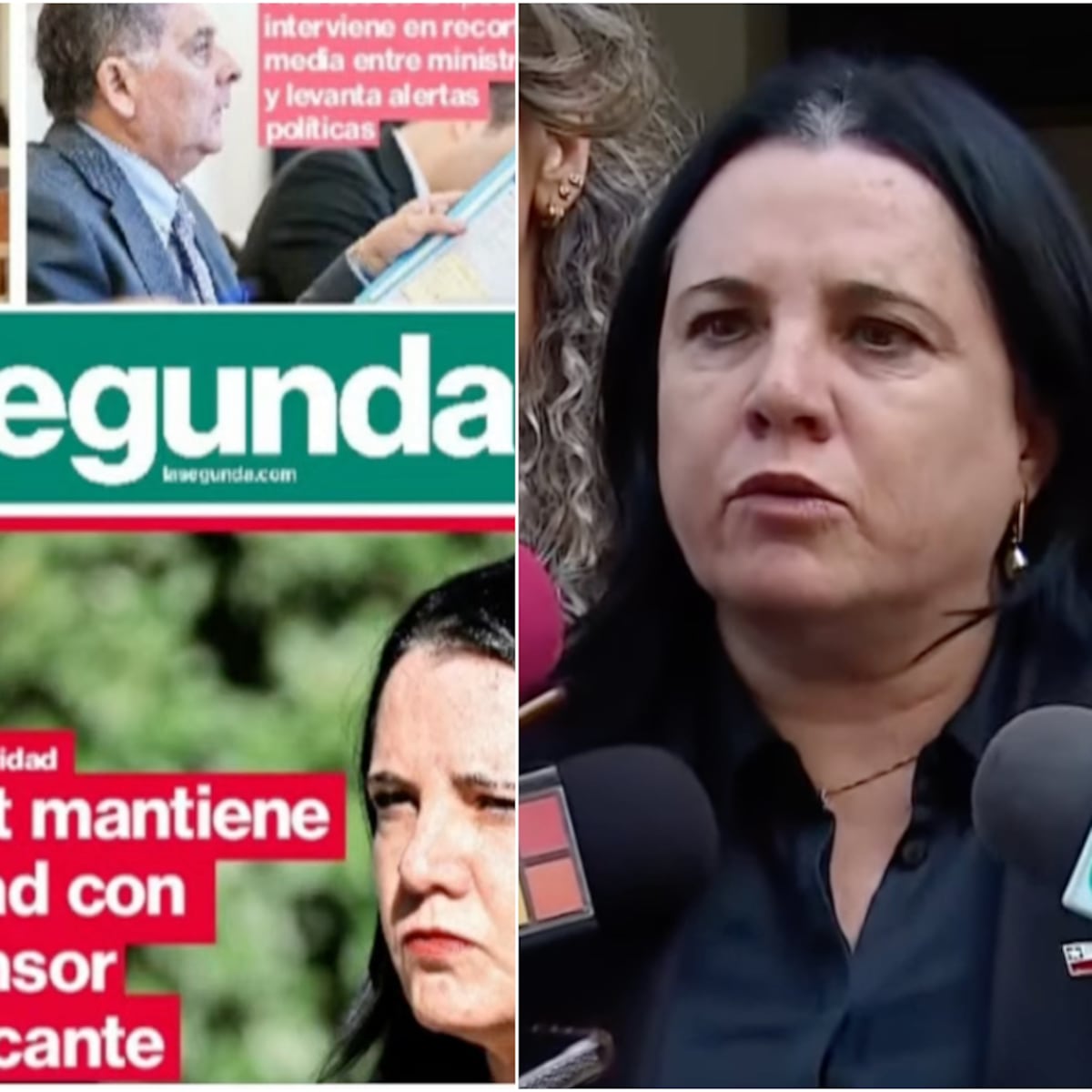 Ministra Steinert rechaza publicación sobre sociedad con exmarido Ministra Steinert rechaza publicación sobre sociedad con exmarido