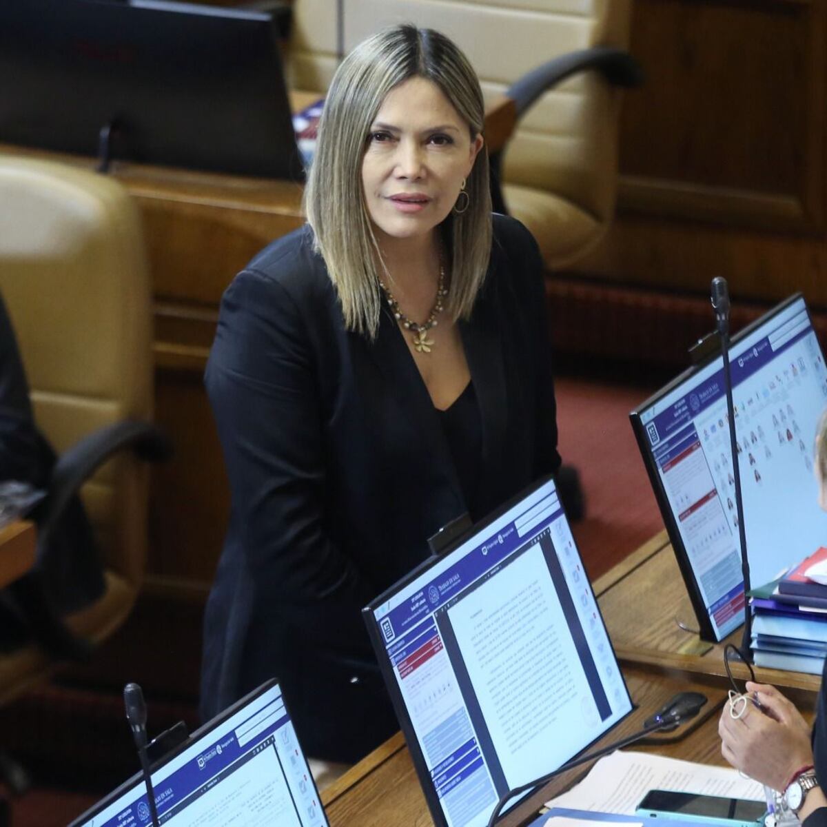 Diputada Pérez pide soluciones efectivas ante el alza de tarifas Diputada Pérez pide soluciones efectivas ante el alza de tarifas