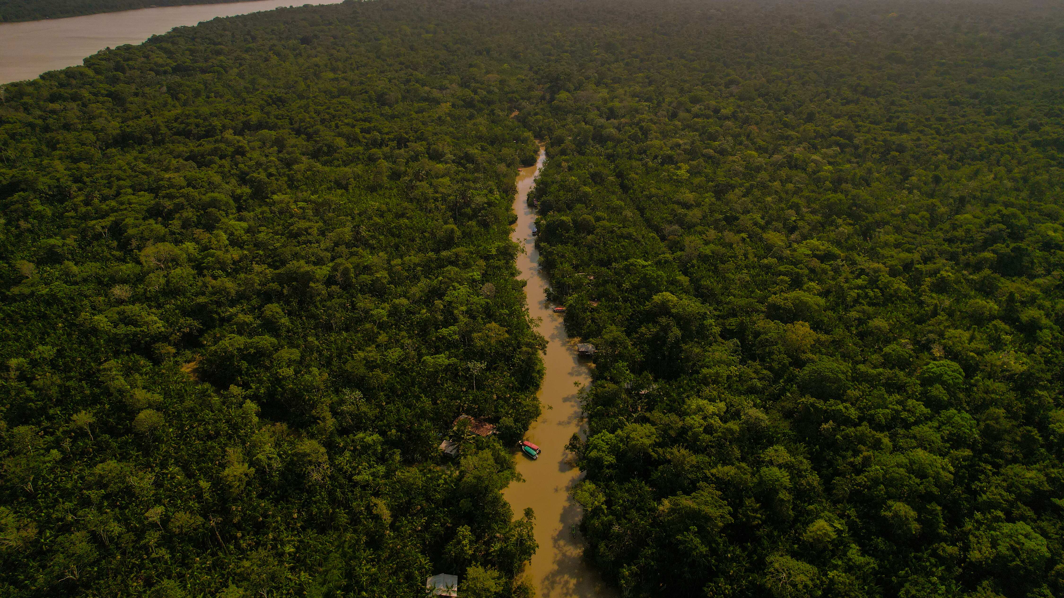 Expectativas y retos rumbo a la COP30, la cumbre anual sobre el cambio climático.