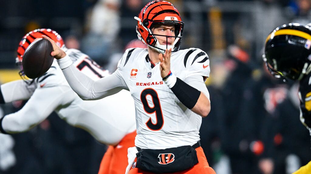 NFL Cincinnati Bengals