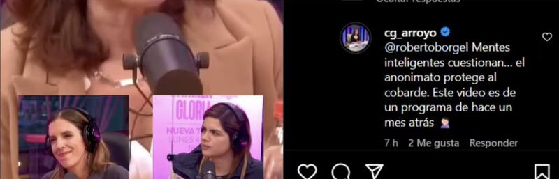 Comentario de Carmen Gloria Arroyo | Instagram