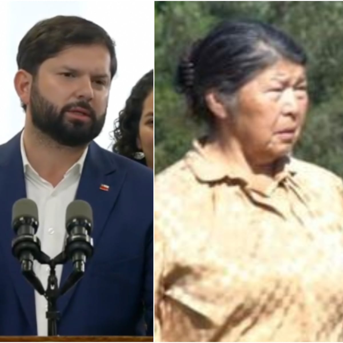 Presidente Boric exige verdad sobre desaparición de Julia Chuñil Presidente Boric exige verdad sobre desaparición de Julia Chuñil