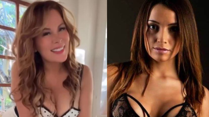 Barriga y Polizzi en la mira: Presentan proyecto de ley para restringir las actividades comerciales en plataformas digitales para personas bajo arresto domiciliario