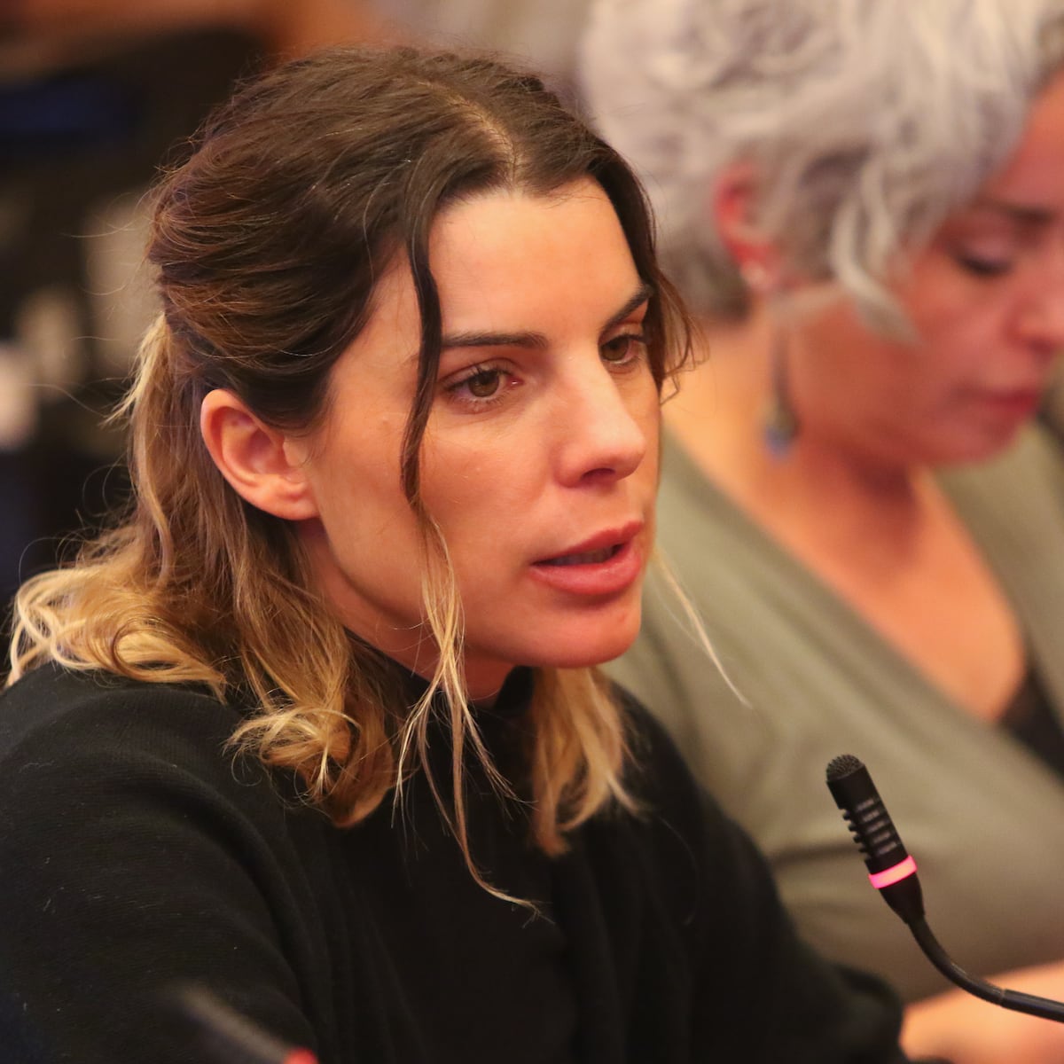 Diputada Orsini respalda renuncia de Monsalve Diputada Orsini respalda renuncia de Monsalve