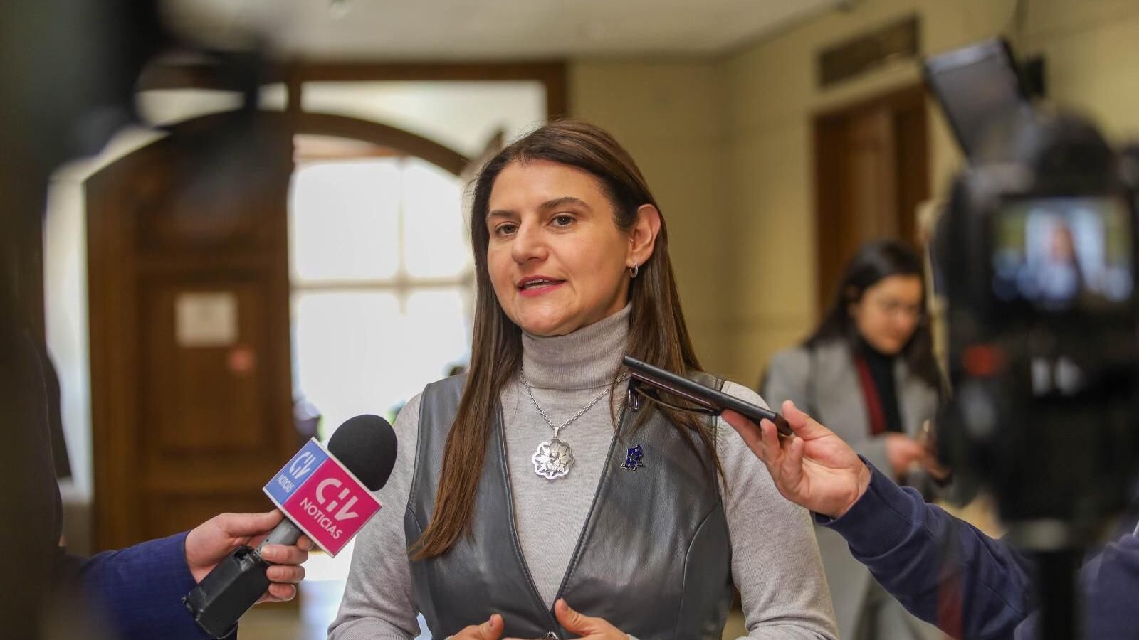 Diputada Sofía Cid