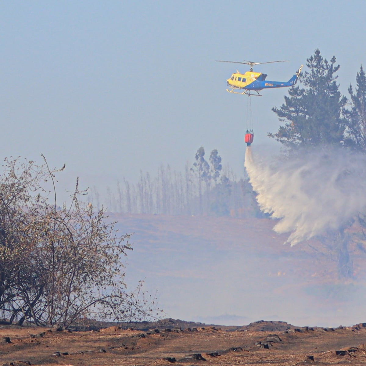 Emergencia en La Araucanía: 22 incendios activos y toque de queda vigente Emergencia en La Araucanía: 22 incendios activos y toque de queda vigente
