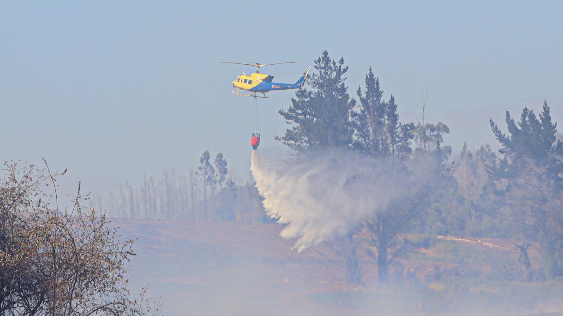 Incendio forestal
