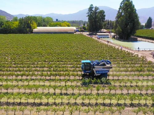 La “agricultura regenerativa” agarra vuelo en Chile