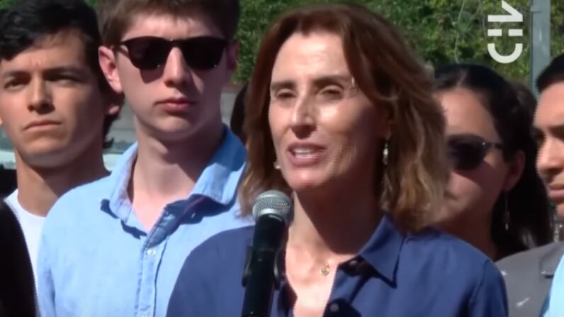 Marcela Cubillos | Captura: CHV Noticias