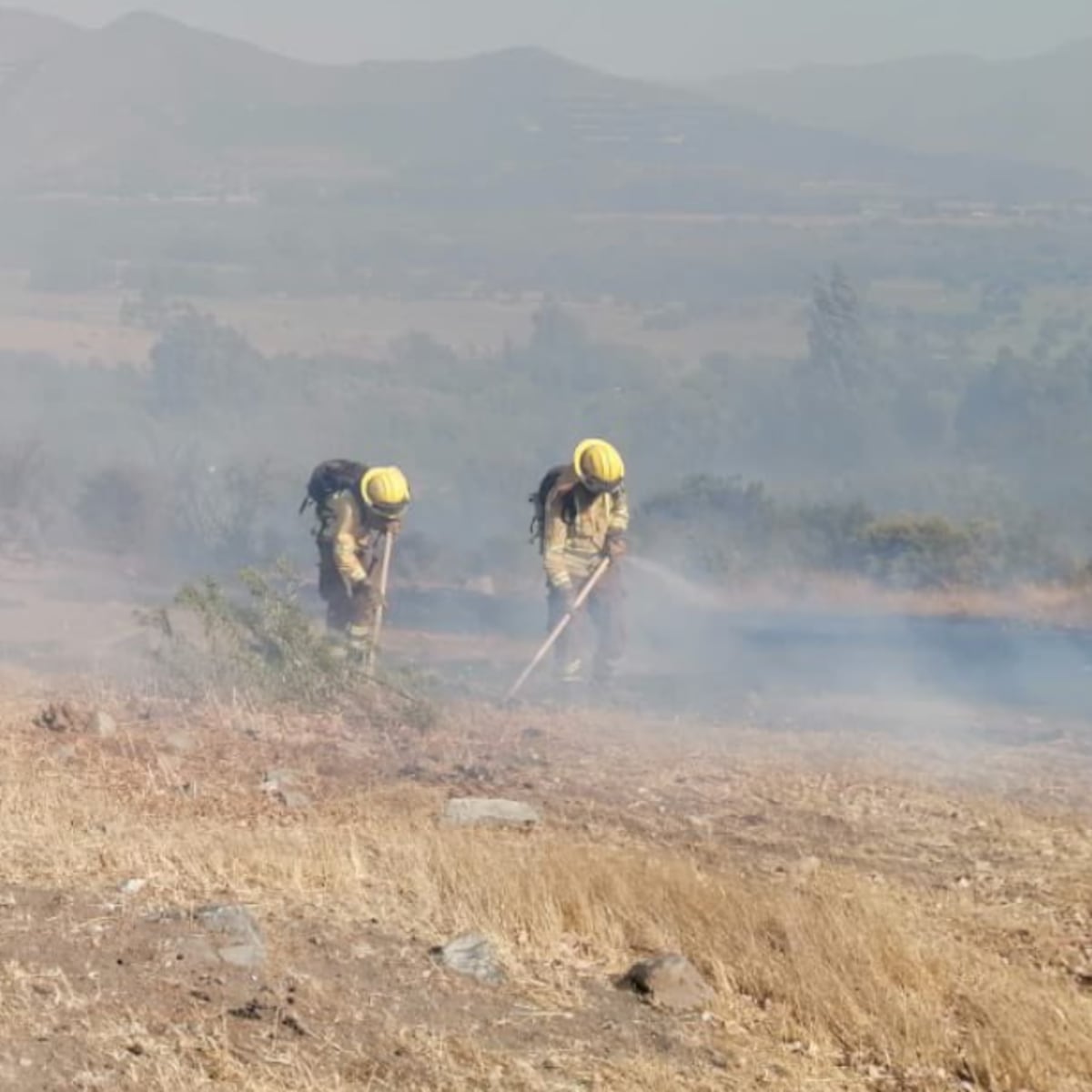 Alerta roja en Valparaíso por incendios forestales Alerta roja en Valparaíso por incendios forestales