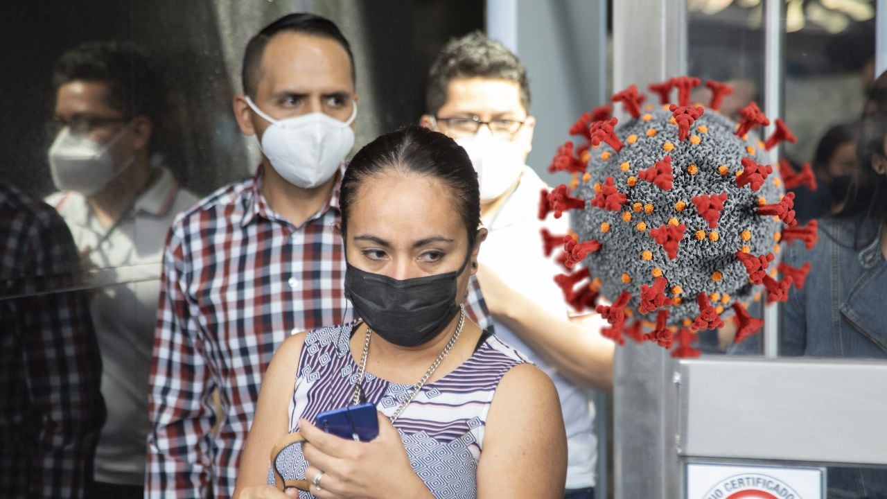 Hantavirus