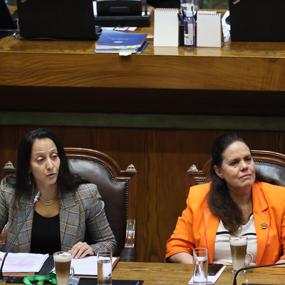 Cámara de Diputados rechaza acusación contra exministra Maya Fernández Cámara de Diputados rechaza acusación contra exministra Maya Fernández