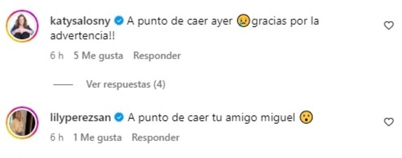 La animadora y el expresidente de la ANFP fueron algunas de las víctimas que pudieron haber caído con el usurpador del WhatsApp de Harold Mayne-Nicholls.