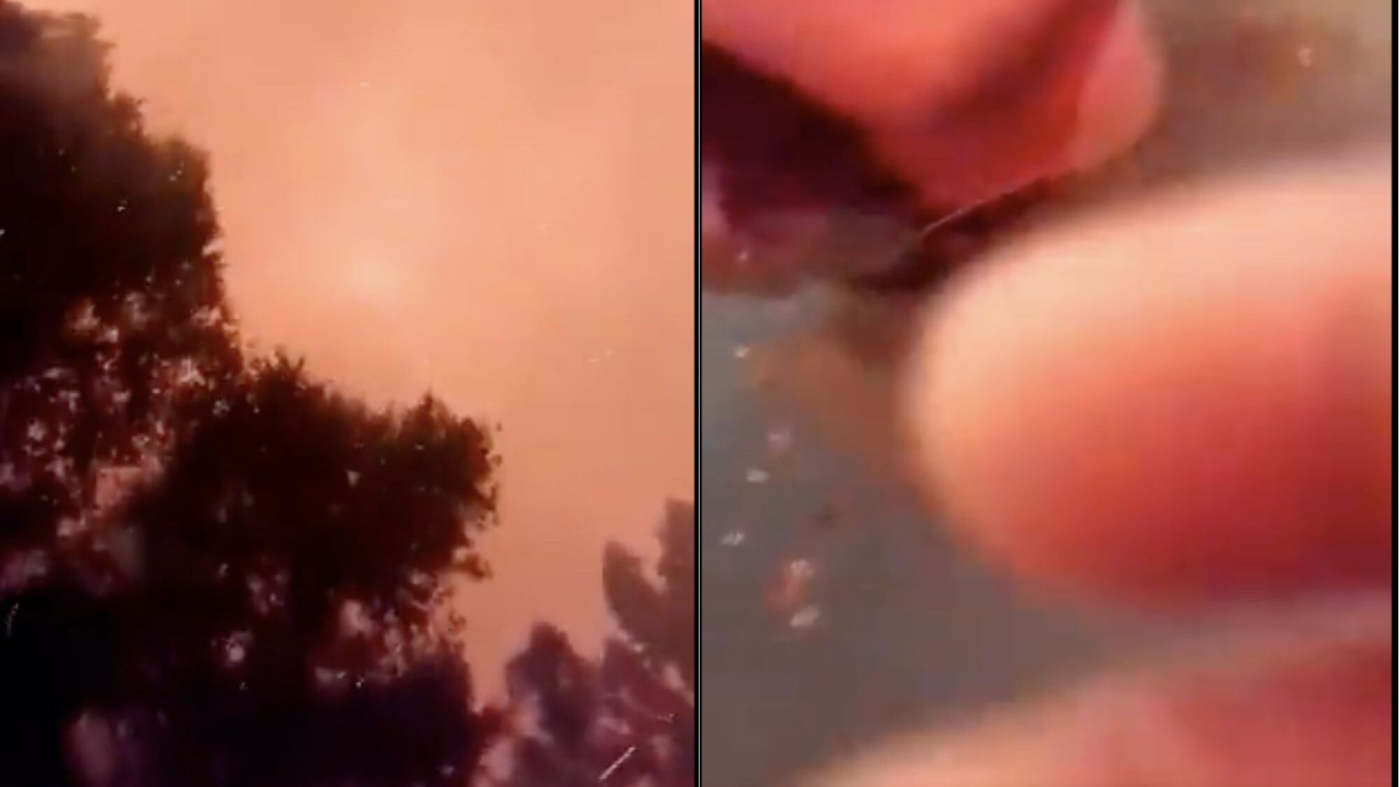 En Santa Juana una familia se refugia en su piscina mientras el fuego avanza al lado de su hogar | Twitter