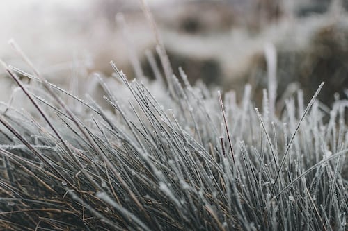 Frío se intensificará este fin de semana: pronostican bajas temperaturas y heladas matinales