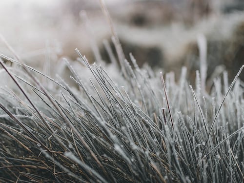 Frío se intensificará este fin de semana: pronostican bajas temperaturas y heladas matinales