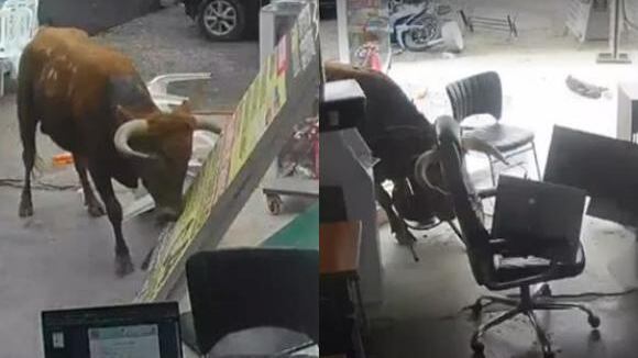 Toro sin control causó pánico en Perú: corneó personas, embistió autos y destrozó negocios