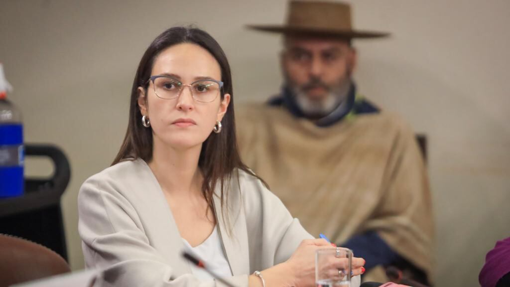 diputada Paula Labra