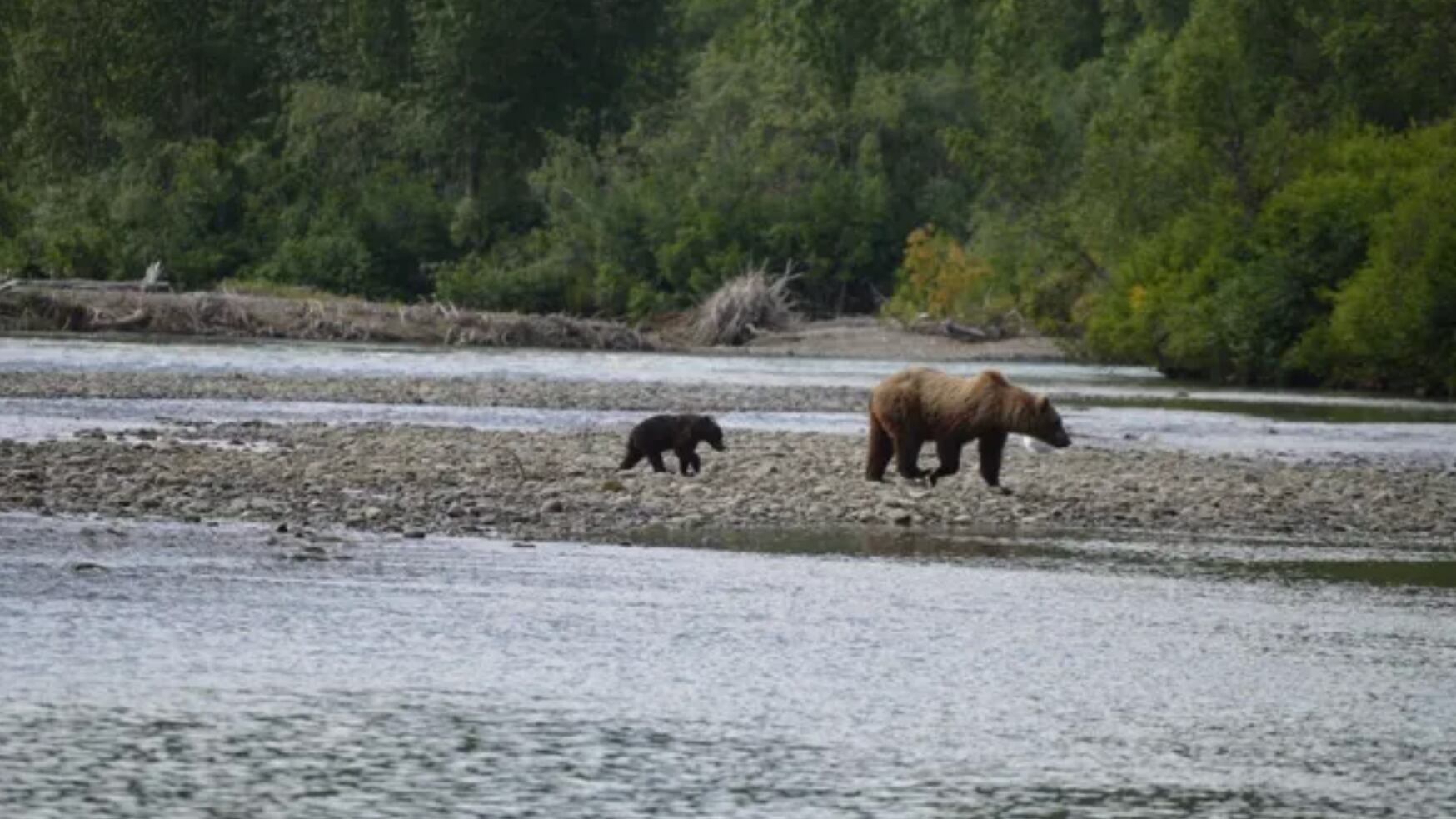 Una tragedia para la comunidad