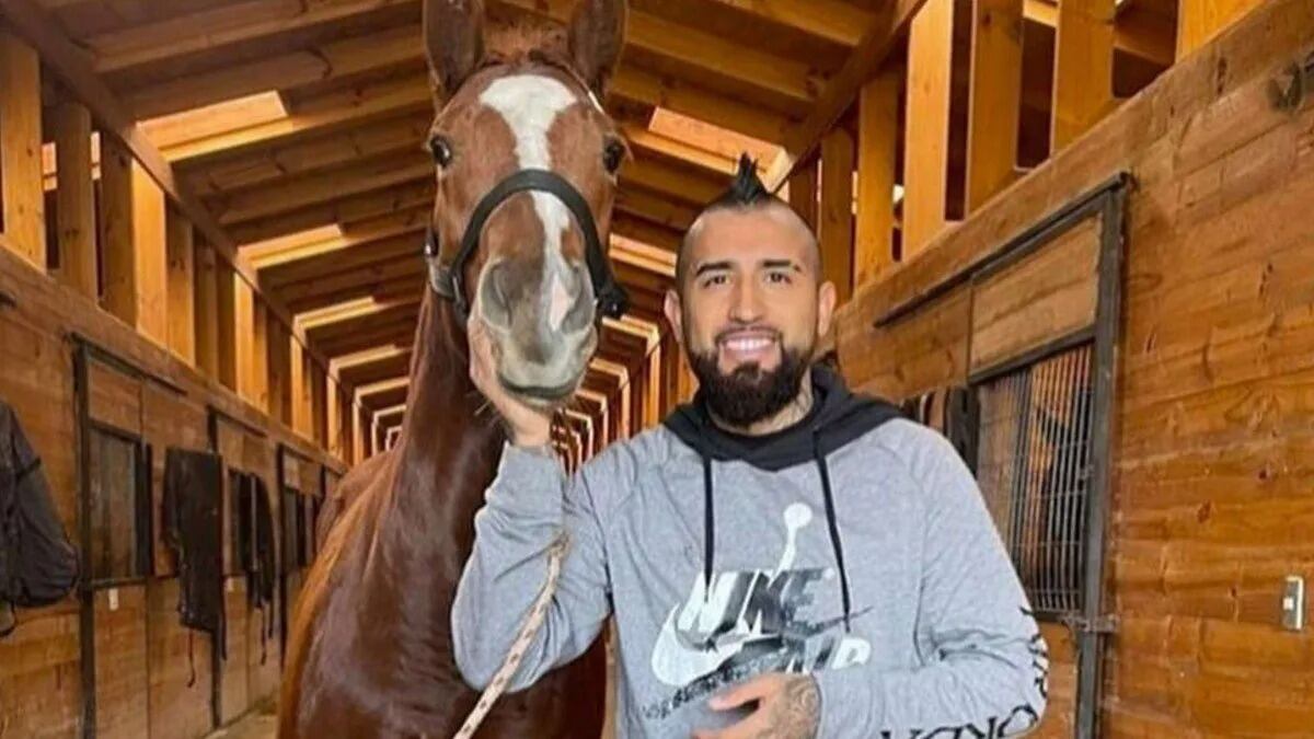 Desde los 3.7 hasta los 47 millones de pesos. Esos fueron los rangos de valores de los 17 caballos que puso a remate el futbolista Arturo Vidal, correspondientes a su haras “Il Campione”, recaudando un total de 226 millones 800 mil pesos, durante el evento realizado en el Criadero de Caballos del Club.
Los ejemplares correspondían a 11 hembras y 6 machos, nacidos el año 2022.
“Me voy feliz. Esta es la tercera vez que mi haras sale a remate, pero lo más lindo es que pude estar acá. Las otras veces me tocó estar afuera así que no había tenido la oportunidad de vivir esto. Anoche no pude dormir, pero siempre soñé con esto y se hizo realidad, además de ver cómo la gente disfruta con la crianza que hacemos”, contó el King al medio LUN.
Además, explicó el motivo del remate, aclarando que es el algo habitual en el mundo de la hípica.