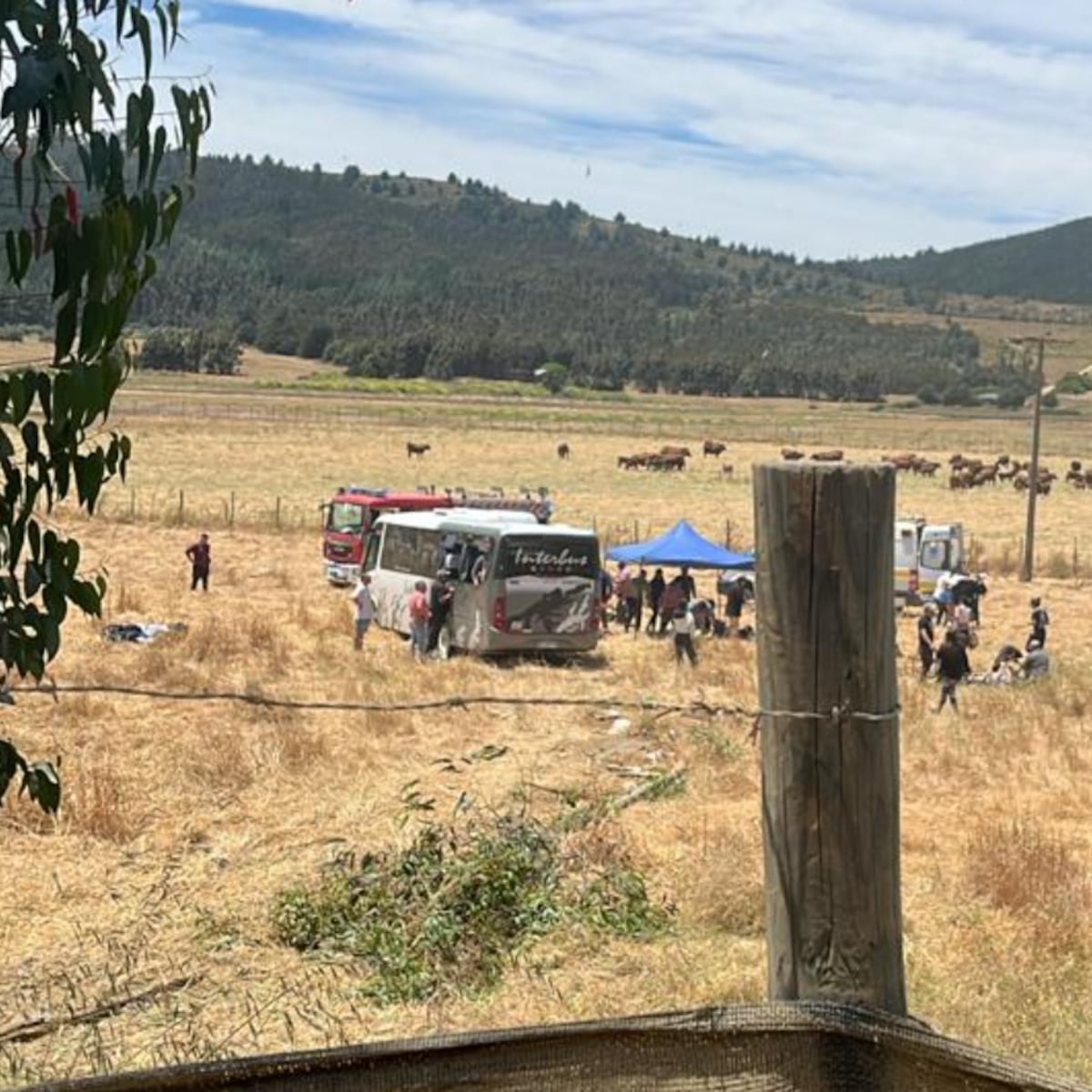 Bus escolar vuelca en Boyeruca: varios heridos tras paseo Bus escolar vuelca en Boyeruca: varios heridos tras paseo