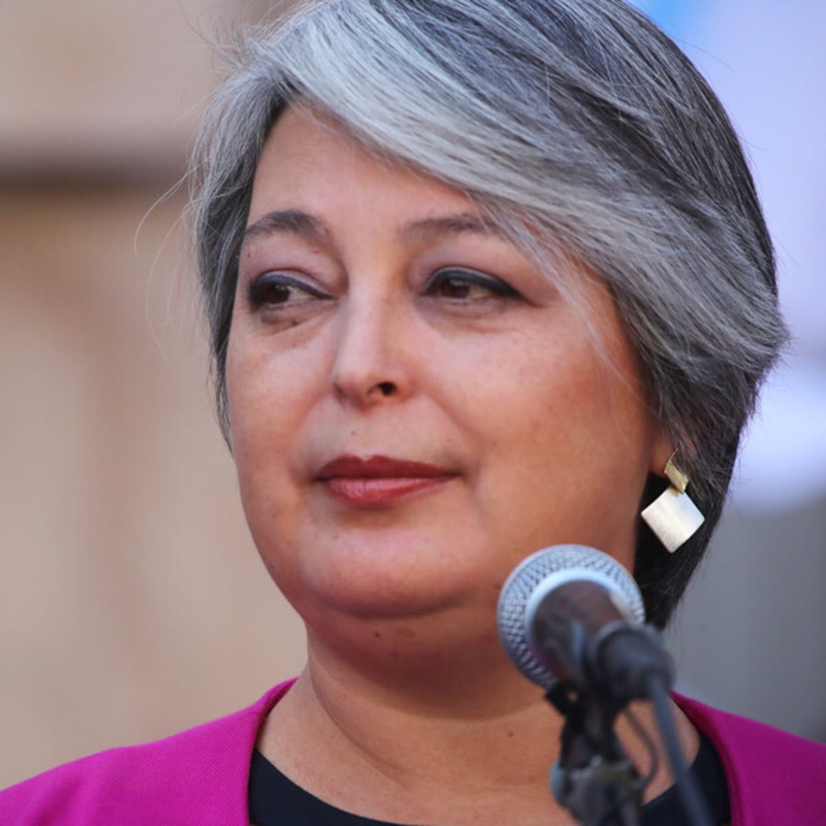 Jeannette Jara emplaza al Gobierno por alza en combustibles Jeannette Jara emplaza al Gobierno por alza en combustibles