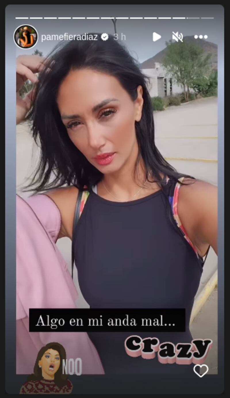 Pamela Díaz - Historias - Fuente: Instagram