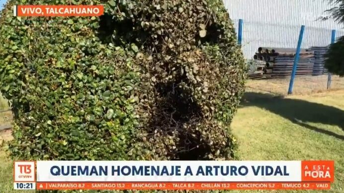 El arbusto fue quemado este miércoles luego de hacerse viral en redes sociales.