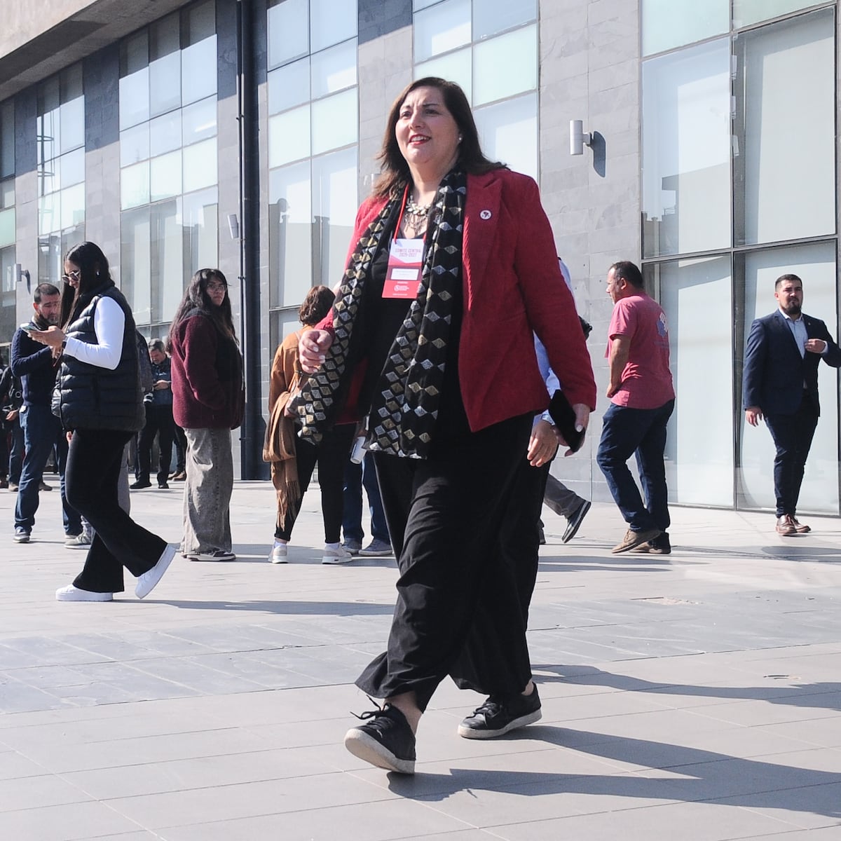 Paulina Vodanovic elegida por unanimidad como candidata presidencial del PS Paulina Vodanovic elegida por unanimidad como candidata presidencial del PS