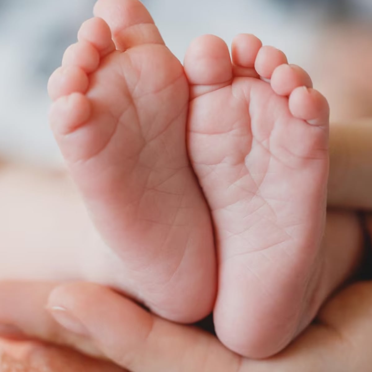 Impotencia de padres por bebés fallecidos entregados a familias equivocadas Impotencia de padres por bebés fallecidos entregados a familias equivocadas