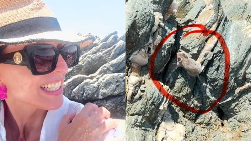“Va a arrancar hacia el mundo”: Luz Valdivieso fue sorprendida por un ratón en un día de playa