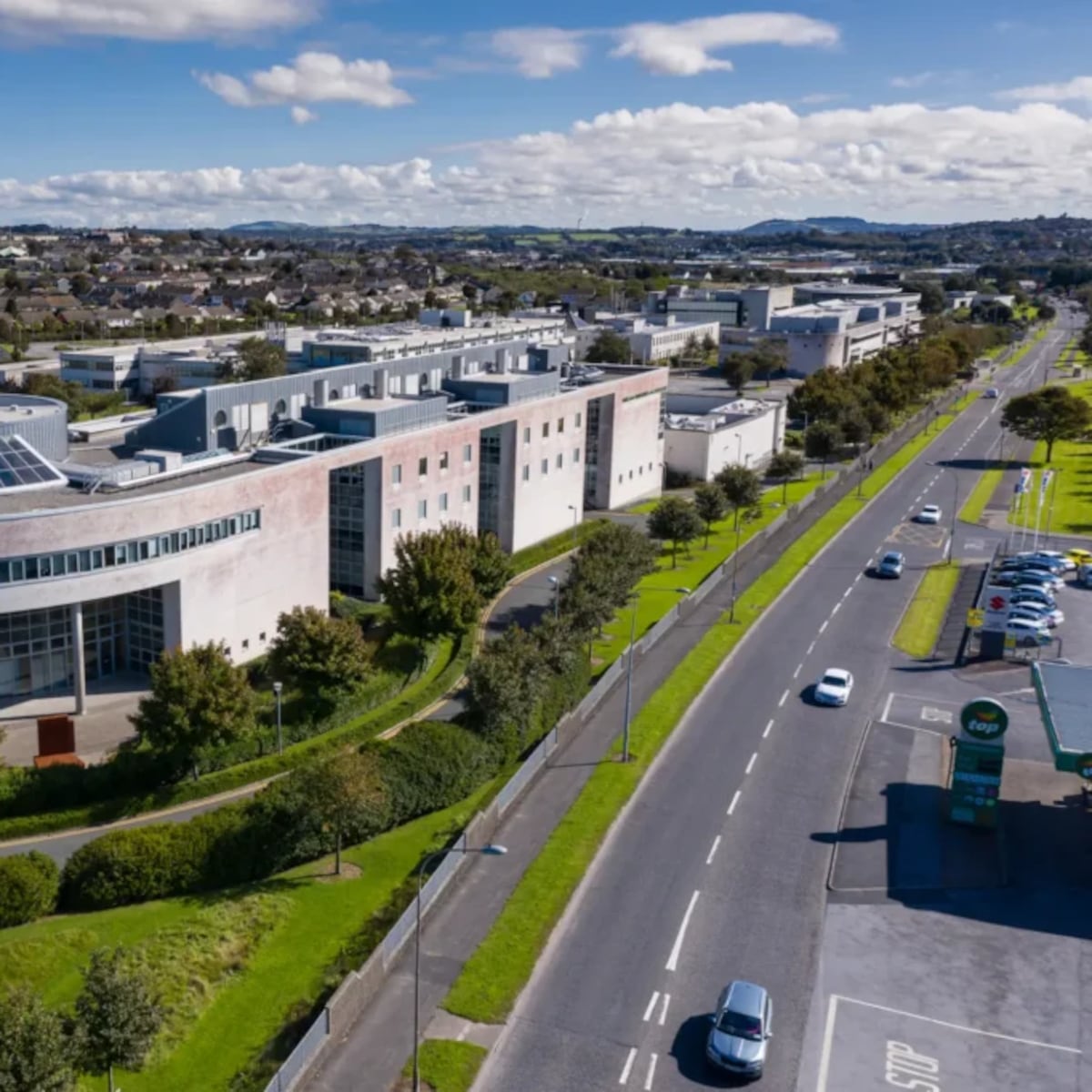 Universidad de Irlanda crea carrera para ser influencer Universidad de Irlanda crea carrera para ser influencer
