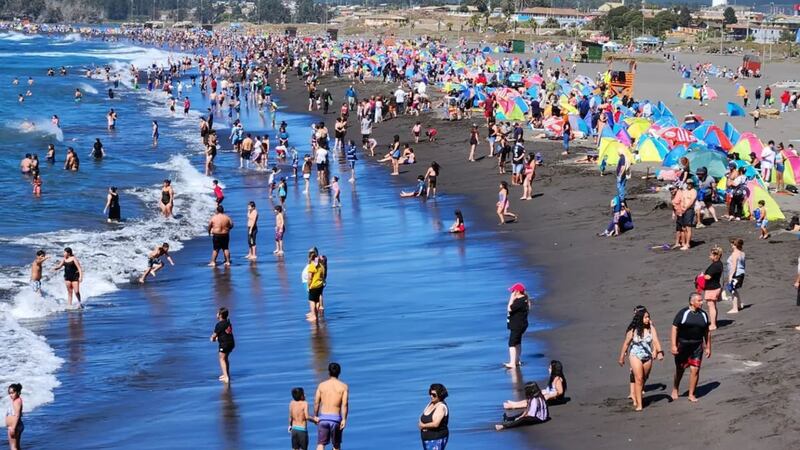 Playa, sol y música: Pichilemu anuncia a Santa Feria y Dino Gordillo en su semana festiva